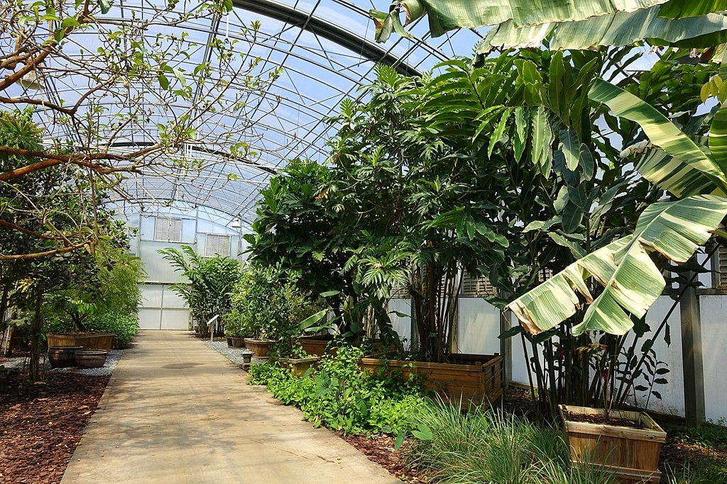 Interior of Fruit & Spice Park's conservatory