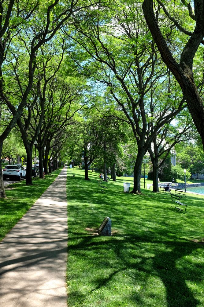 View of Thayer Park