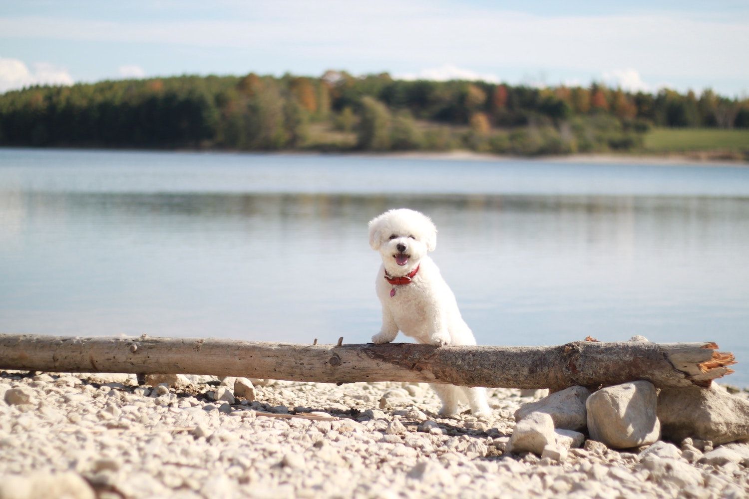 20 Best Things to Do in Guelph