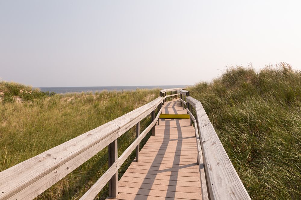 A boardwalk in Parker River National Wildlife Refuge