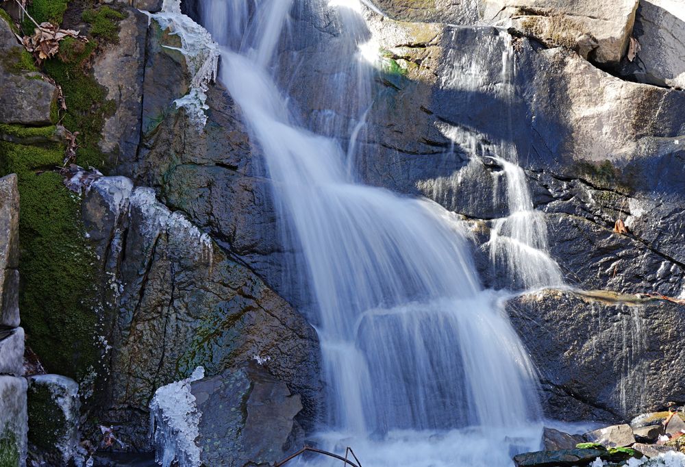 Scenic View of Falling Waters Preserve