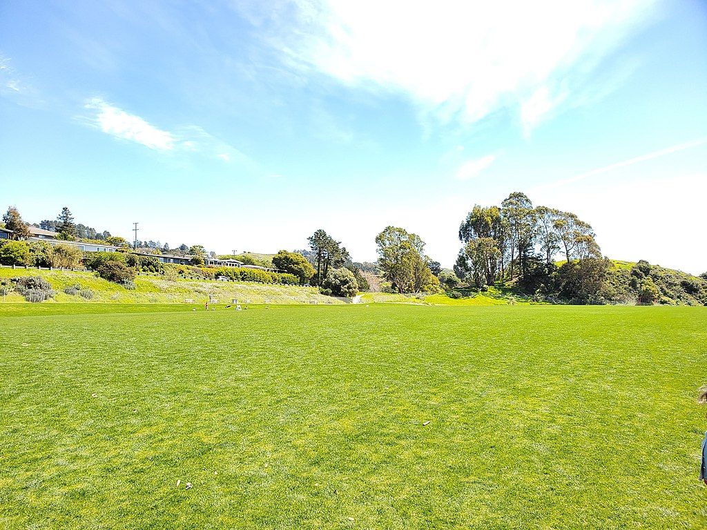 An open field with green grass at blackie's pasture.