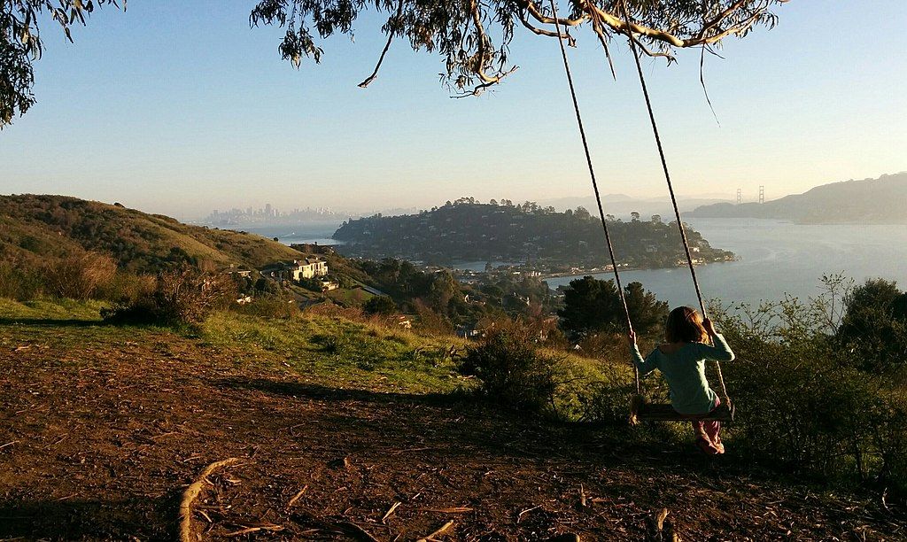 A kid using the swing of hippie tree.