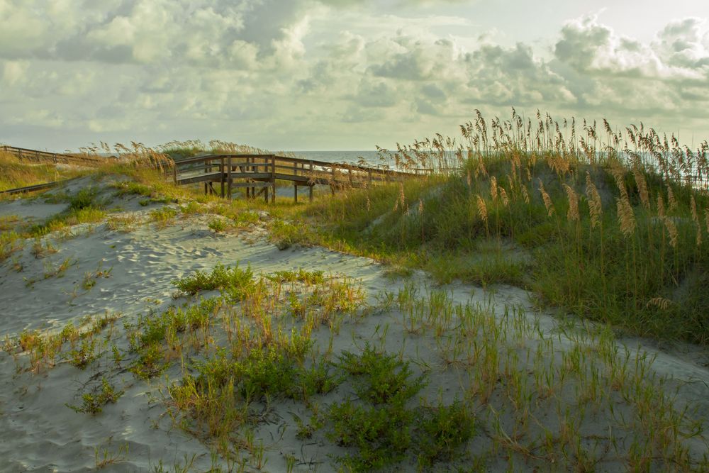 Sand dunes of Mid Beach