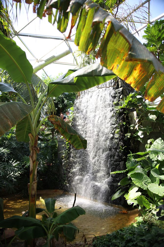 Waterfall in Gage Park's zoo