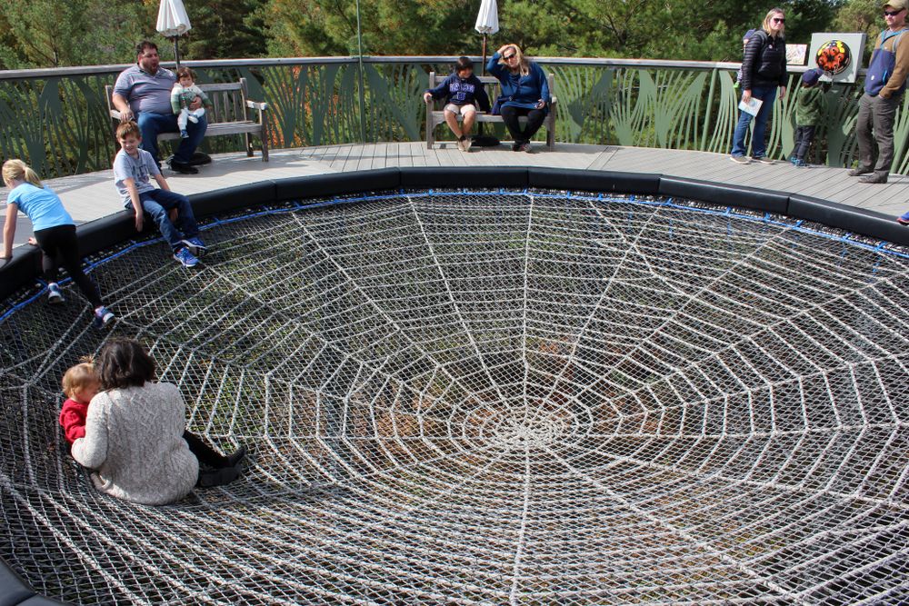 The spider web of The Wild Center