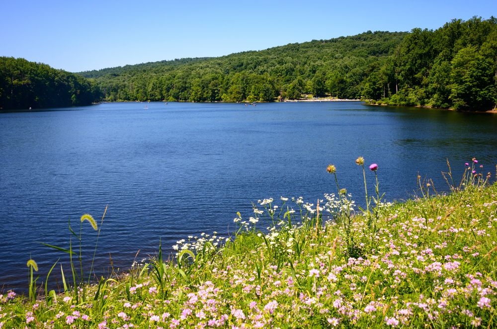 Scenic view of Cunningham Falls State Park's water