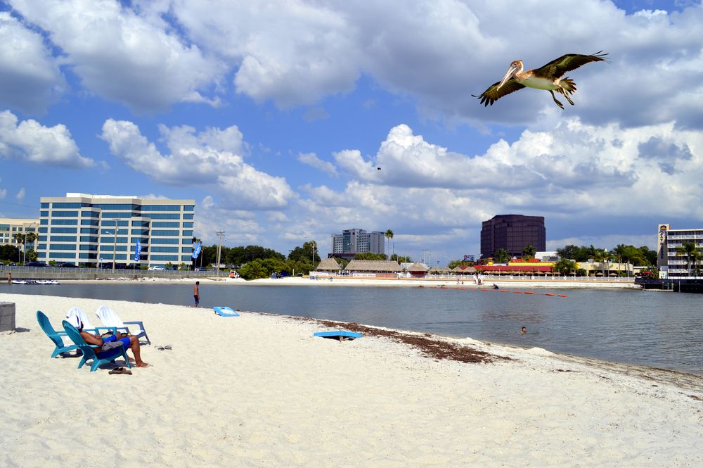 Sunny day at Ben T Davis Beach