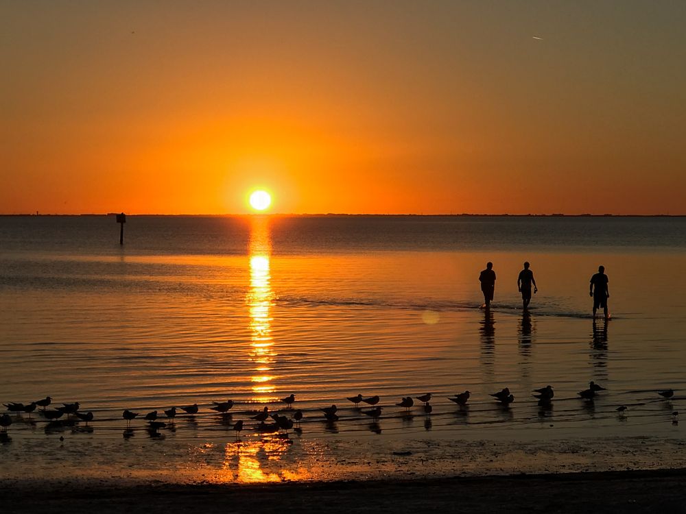 Gorgeous sunset at Ben T Davis Beach