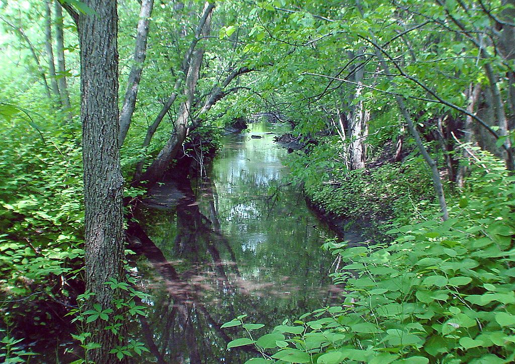 The waters of Teaneck Creek Conservancy