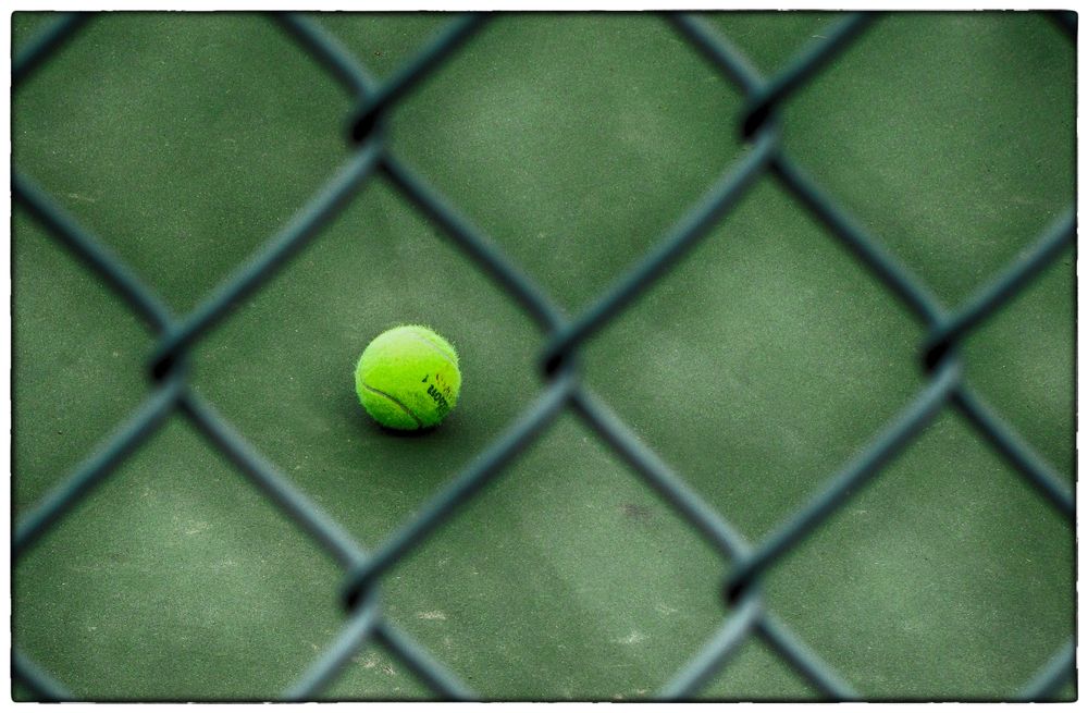 Tennis ball at Prospect Park