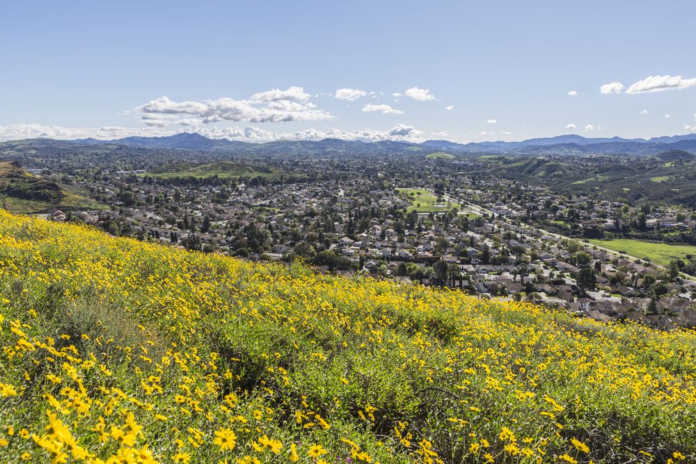 View from Wildwood Regional Park