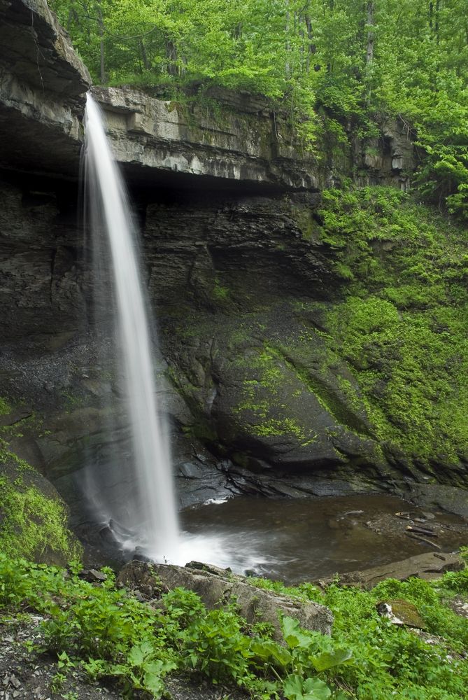 View of Carpenter Falls