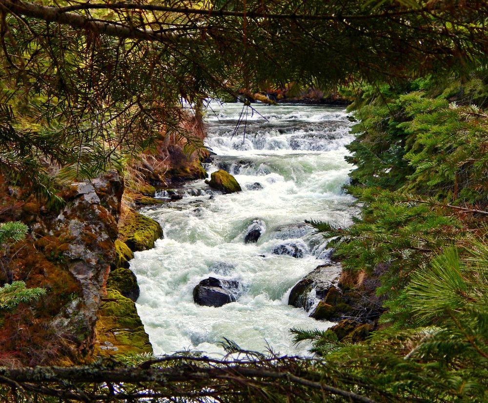 Benham Falls near Sunriver