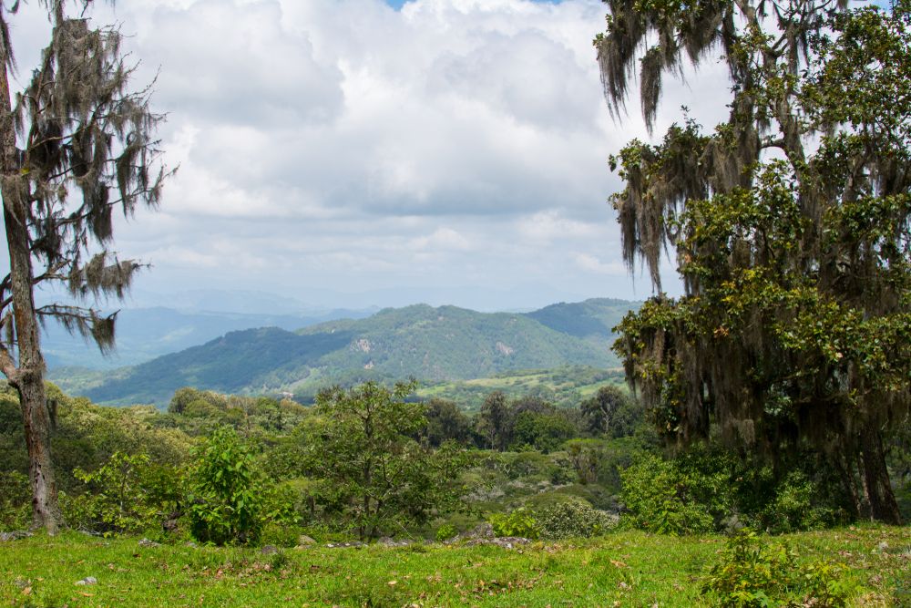 View of Tisey Estanzuela Natural Reserve