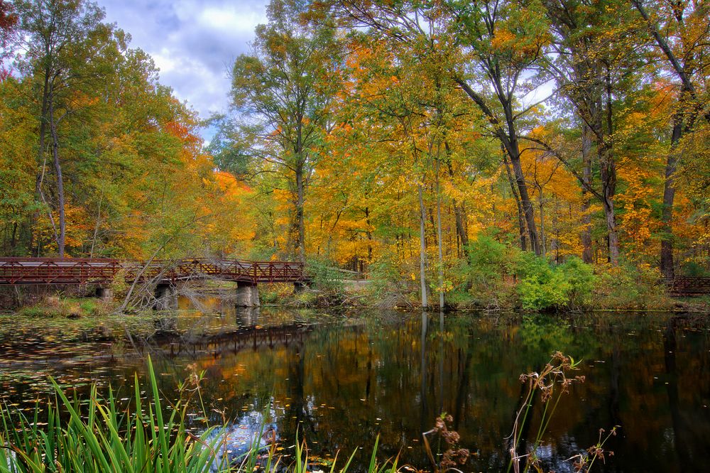 Mallard lake at Oak Openings Preserve