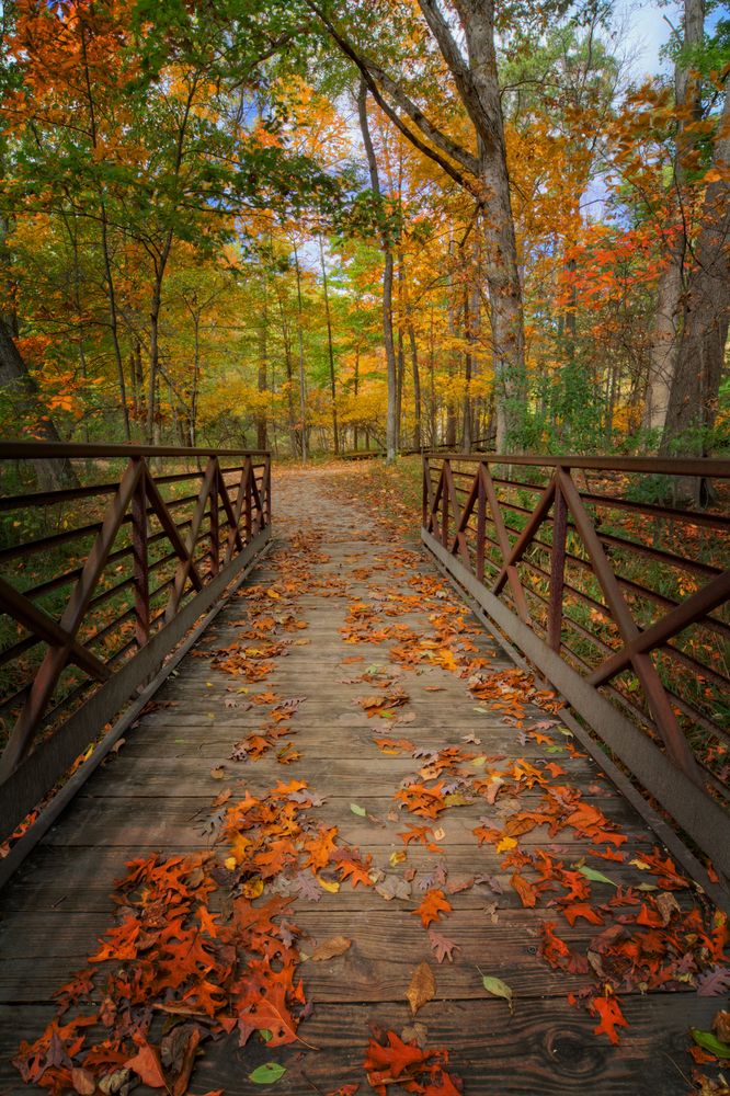 A footbridge at Oak Openings Preserve