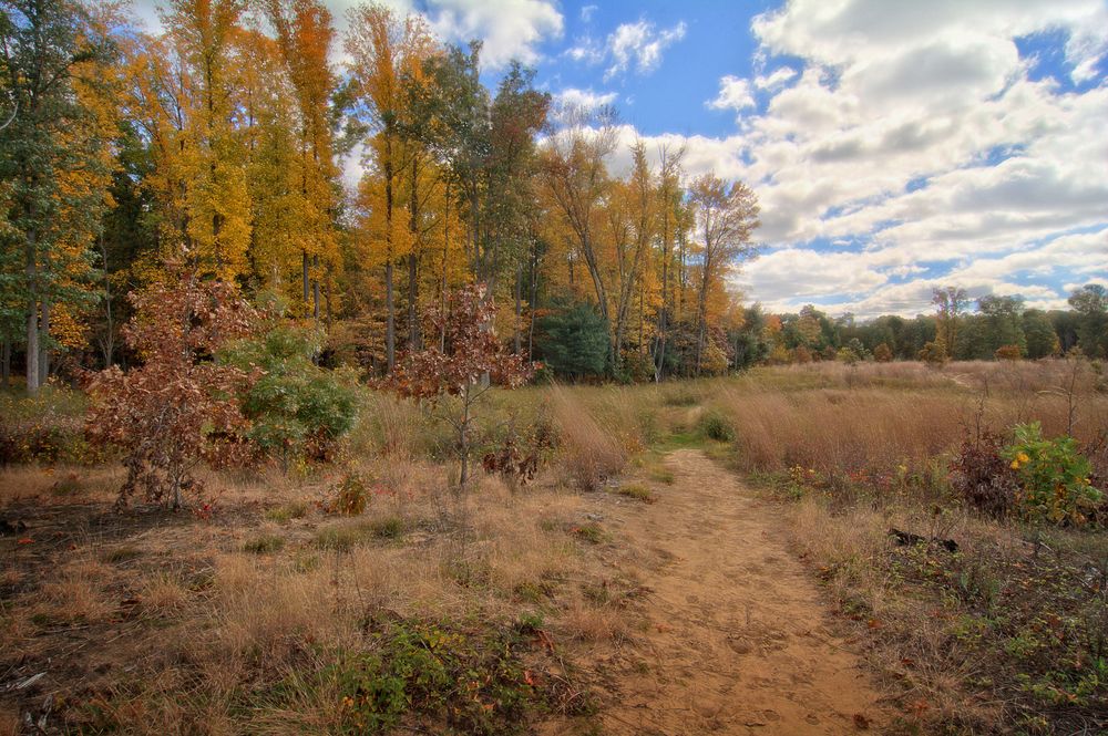Sandy trail at Oak Openings Preserve