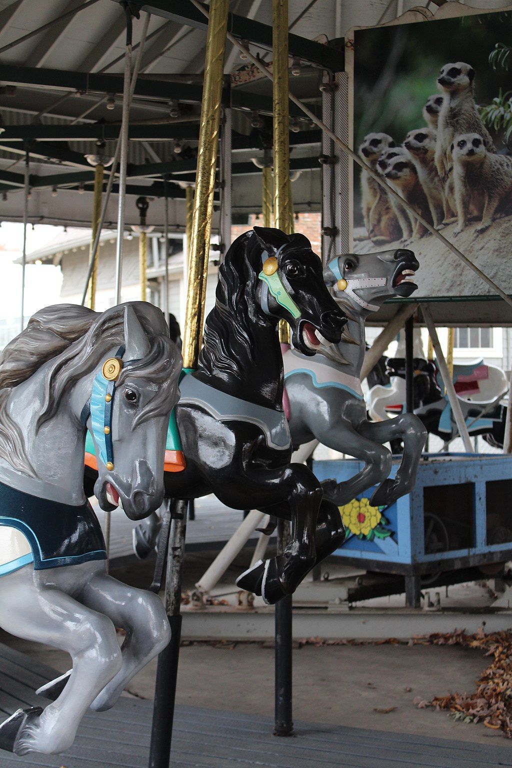 A carousel at Toledo Zoo