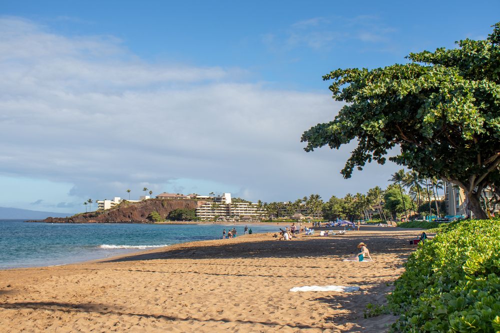 View of Sheraton Maui Resort