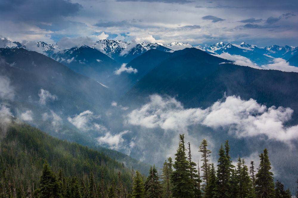urricane Ridge in Olympic National Park