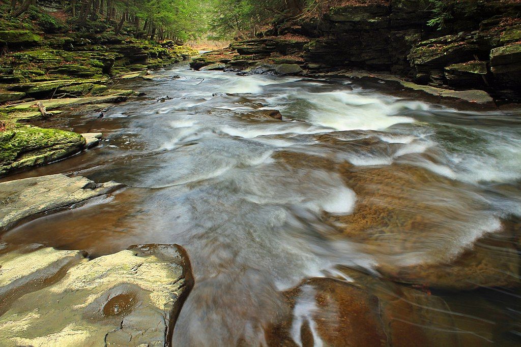 A creek at Little Rocky Glen Preserve