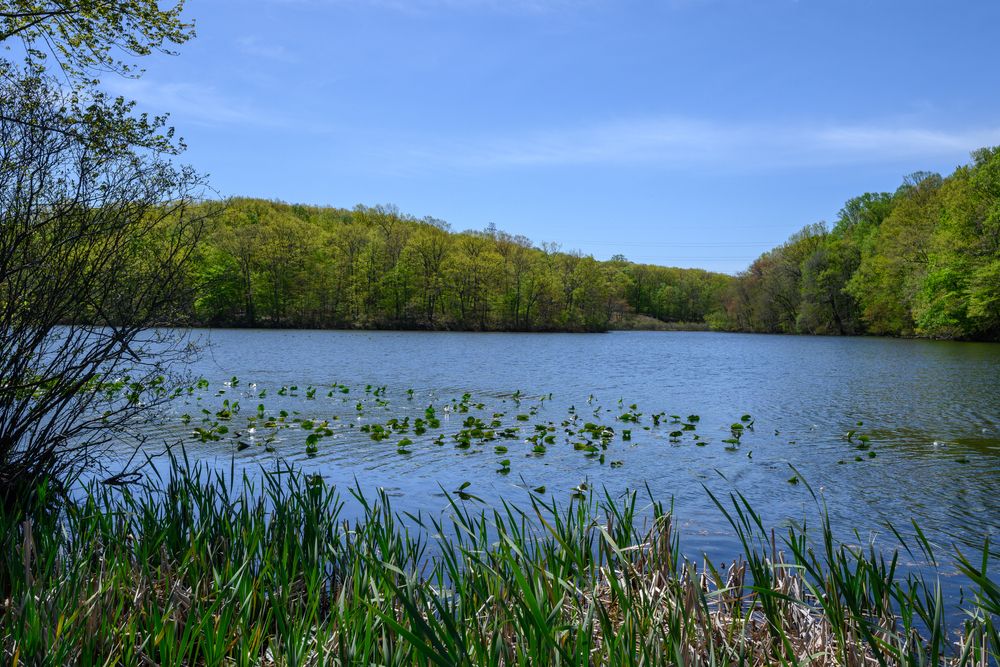 The waters of Perrineville Lake Park