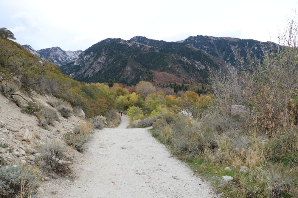 Trails of Bells Canyon Trail
