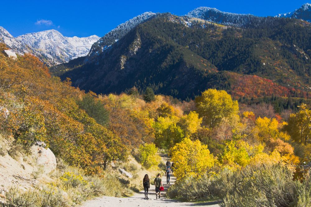 Trails of Bells Canyon Trail