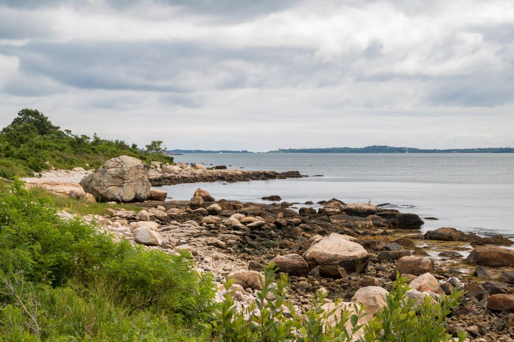 The shore of Bluff Point State Park