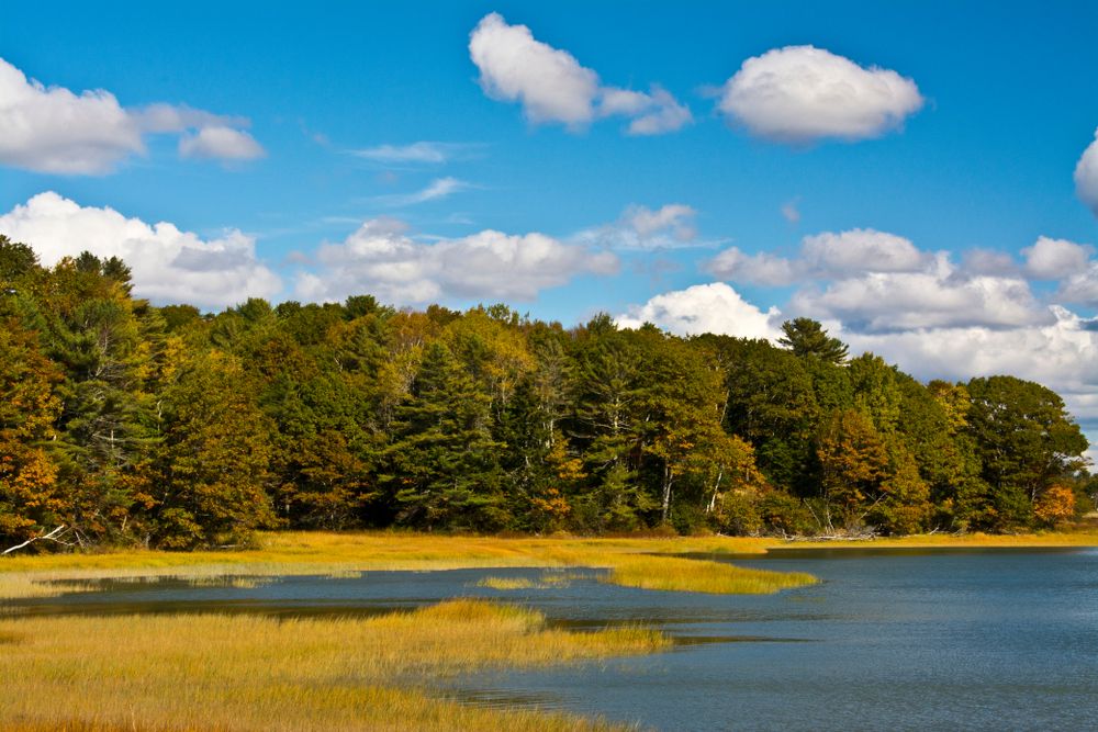 Daytime view of Maquoit Bay Conservation Land