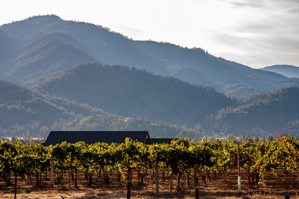 View of Rogue Valley Vineyards and Winery
