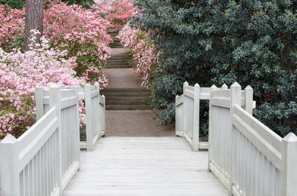 View of Callaway Gardens