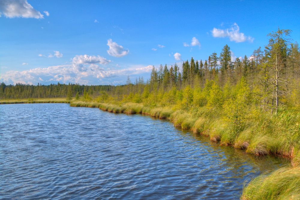 View of Lake Bemidji State Park