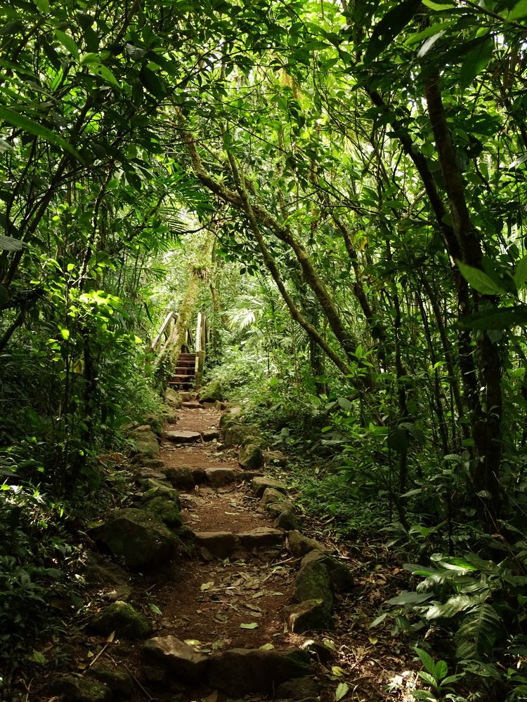 View of Mombacho Volcano Nature Reserve