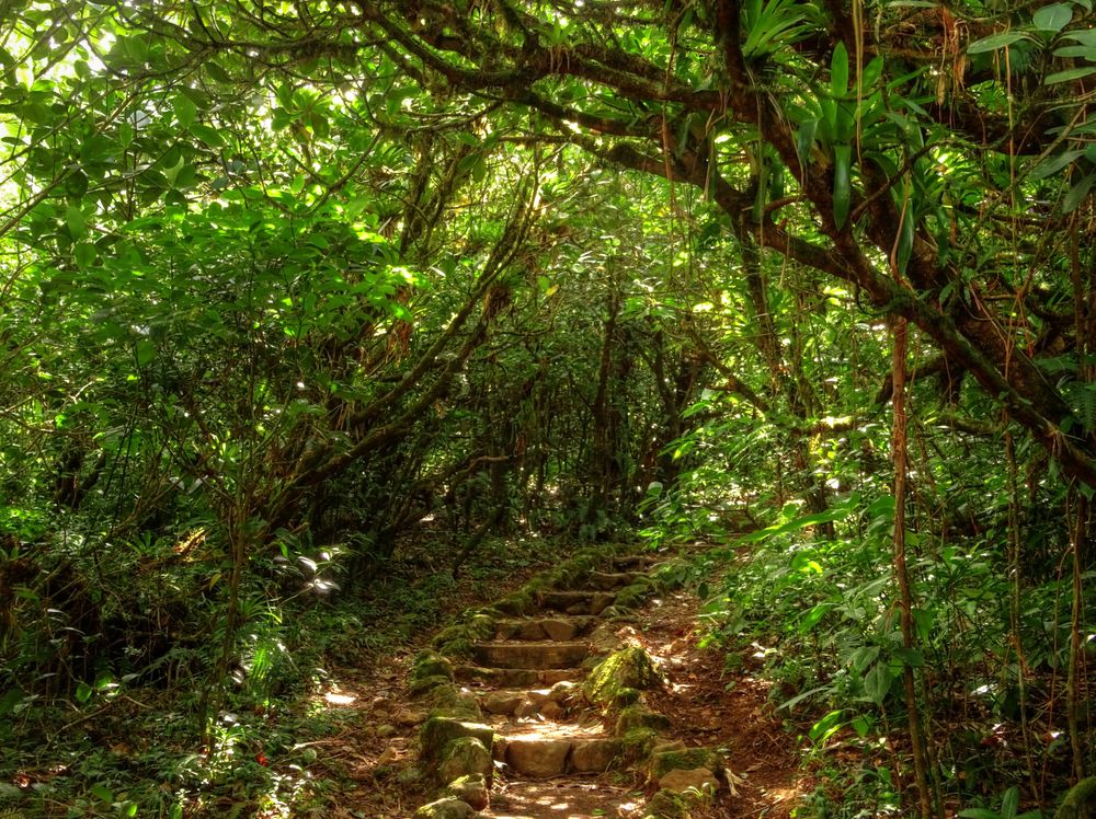 View of Mombacho Volcano Nature Reserve