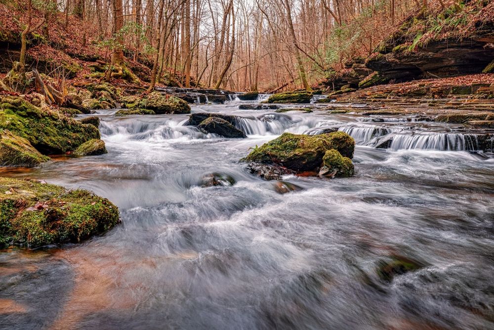 The waters of Short Springs Natural Area