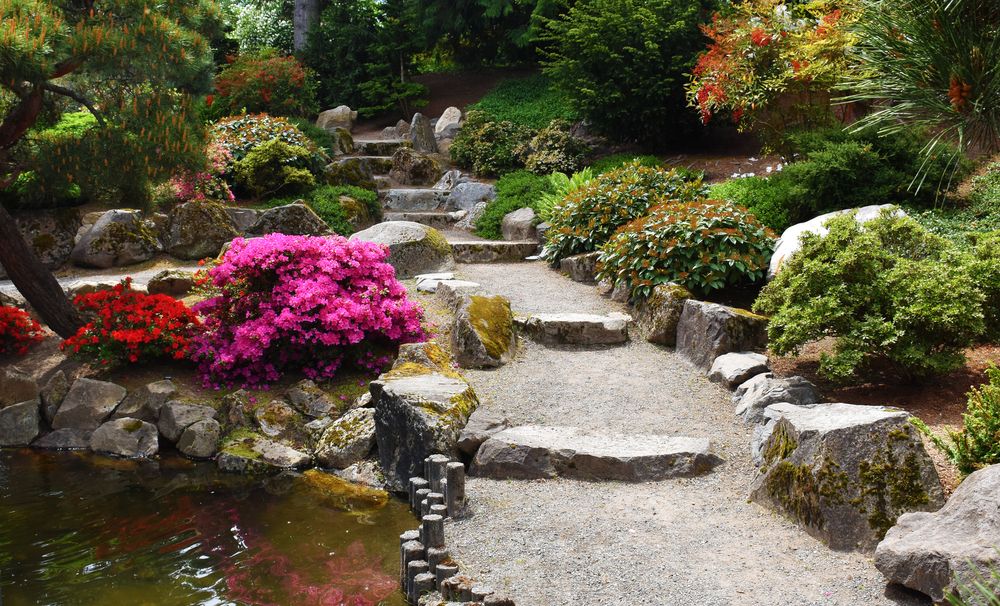 Vibrant flowers and plants at Highline SeaTac Botanical Garden.