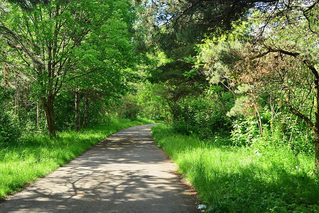 A bridge at Green River Trail.
