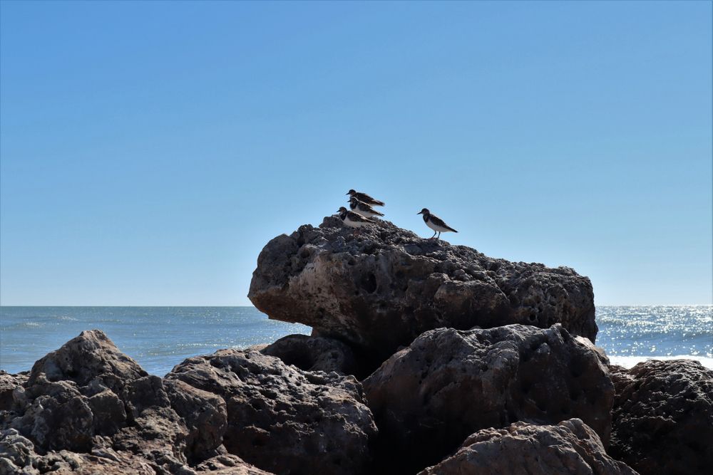 View of Turner Beach