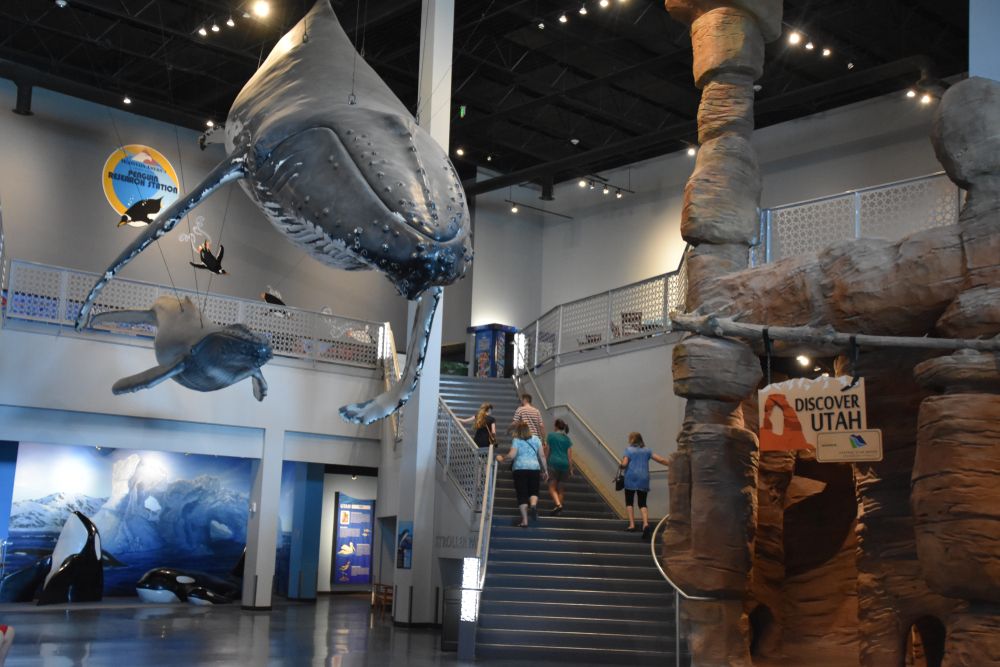 Interior of the Loveland Living Planet Aquarium