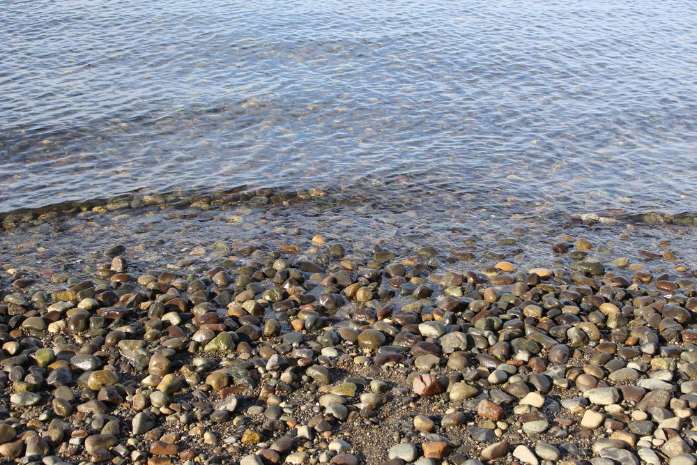 The waters of Chambers Creek Regional Park