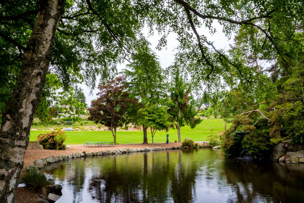 A pond at Point Defiance Park