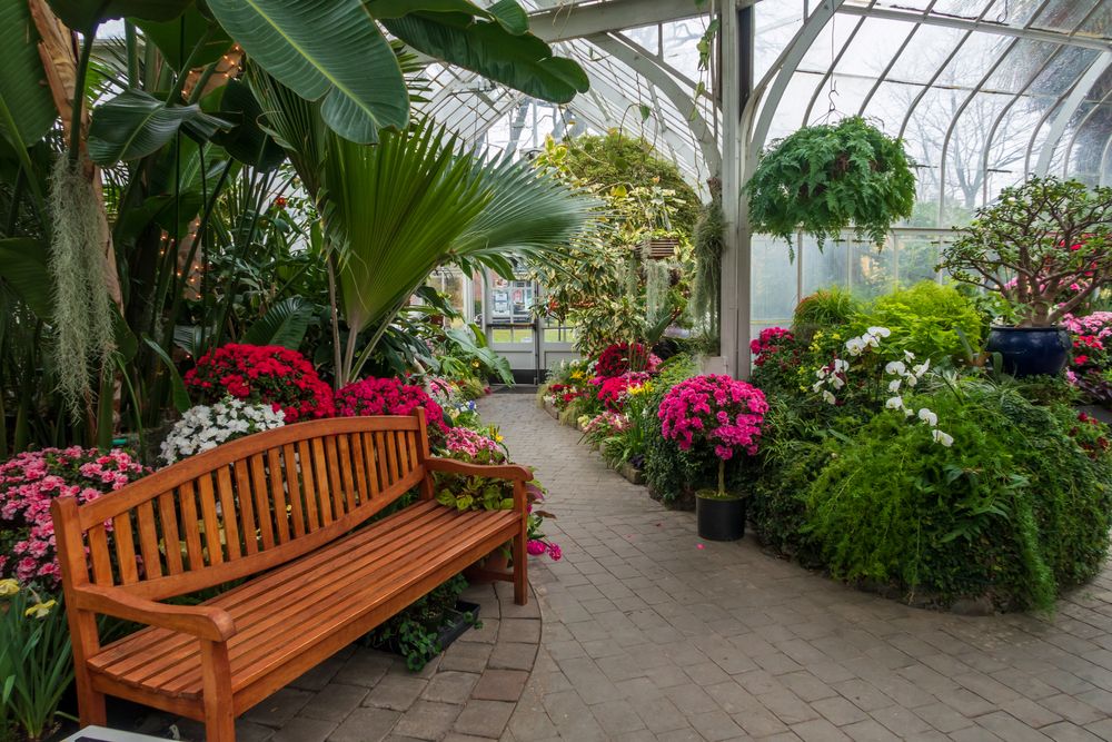 Wooden bench surrounded with flora in W.W. Seymour Botanical Conservatory