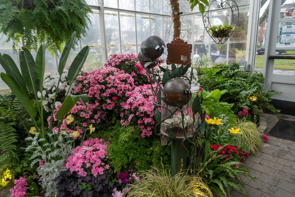 Gorgeous flora in W.W. Seymour Botanical Conservatory