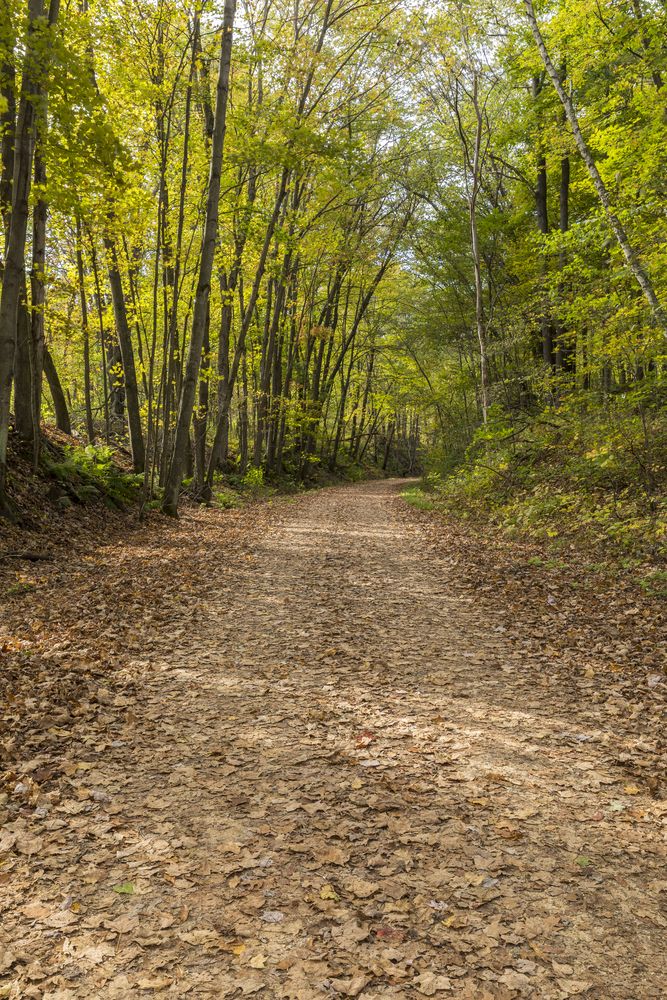 Daytime view of Elroy-Sparta State Bike Trail
