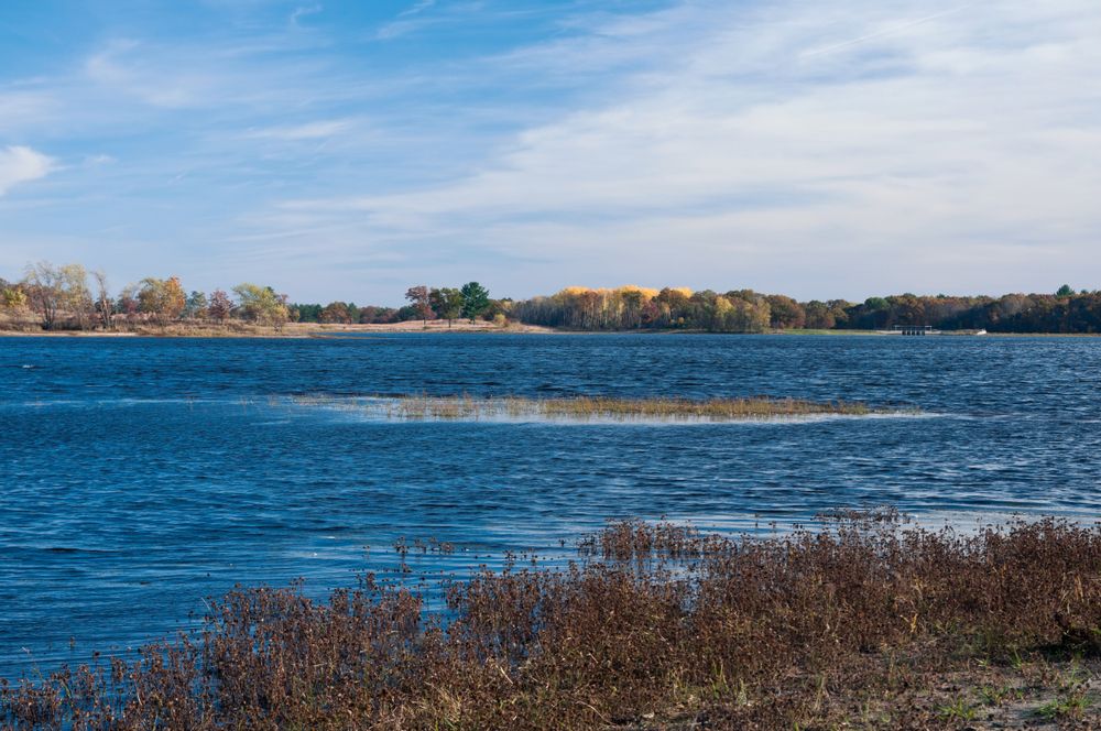 The waters of Necedah National Wildlife Refuge