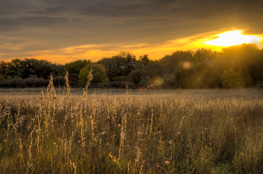Beautiful sunrise at Two Ponds National Wildlife Refuge
