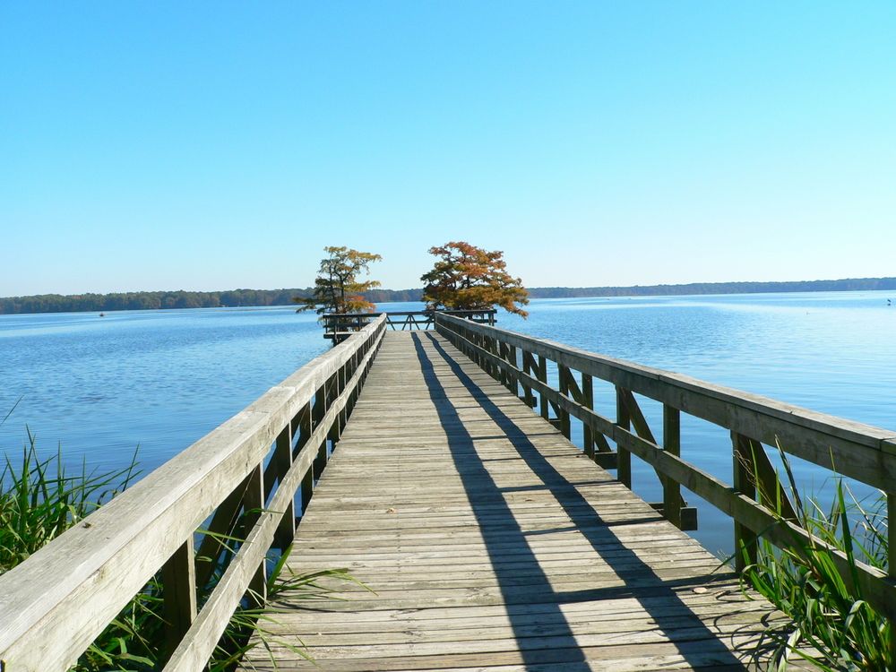 A small pier at Reelfoot Lake State Park