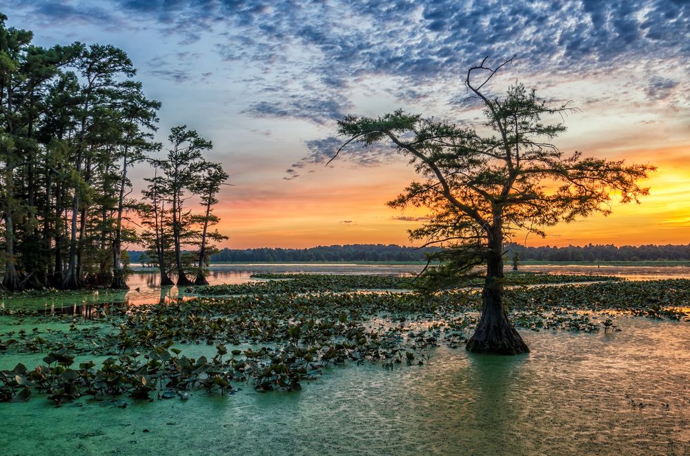 Sunset over Reelfoot Lake State Park